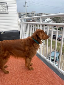 The balcony on the top floor was icing on the cake!!!