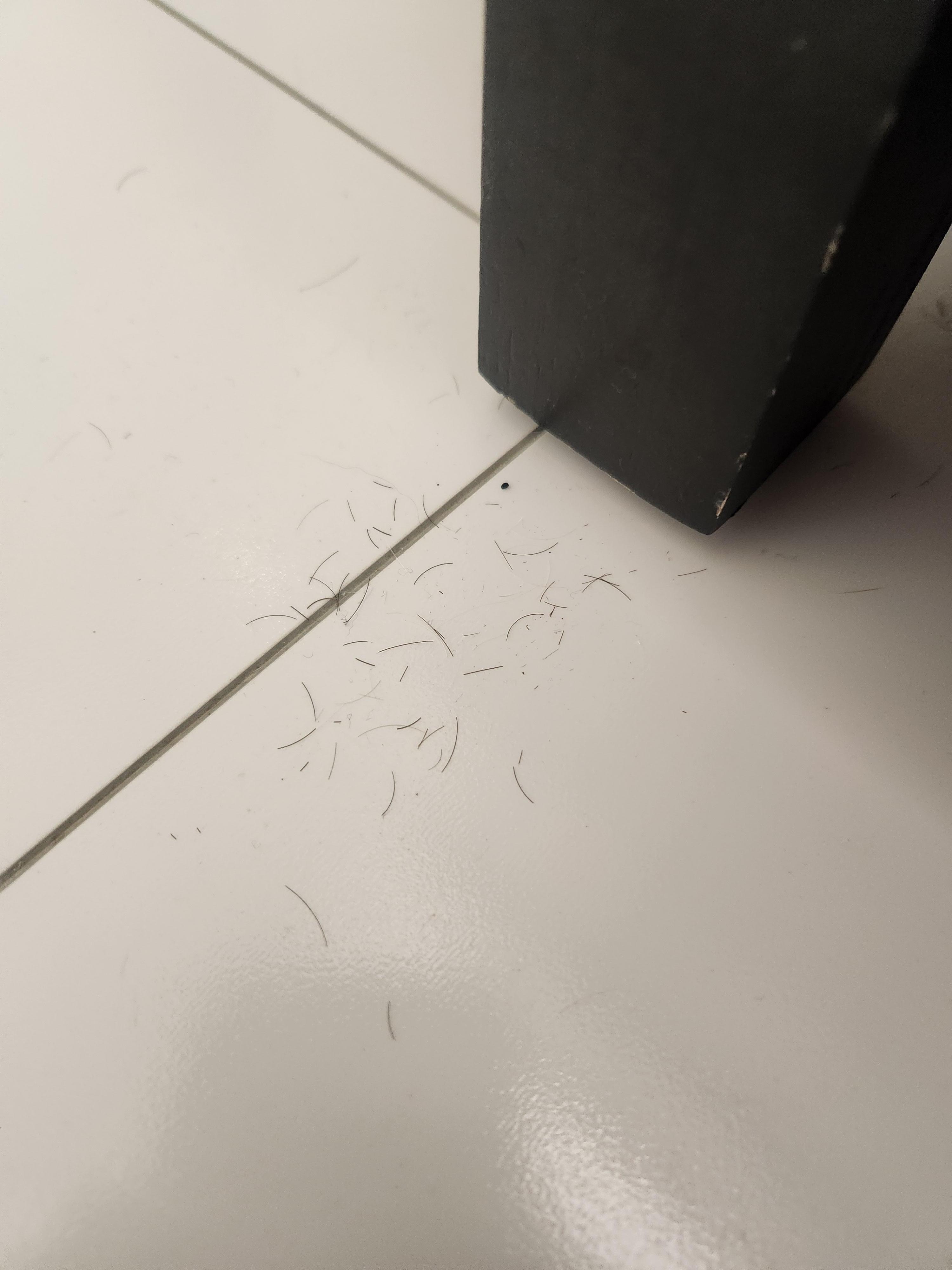 Hair shavings on floor