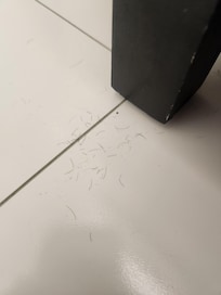 Hair shavings on floor