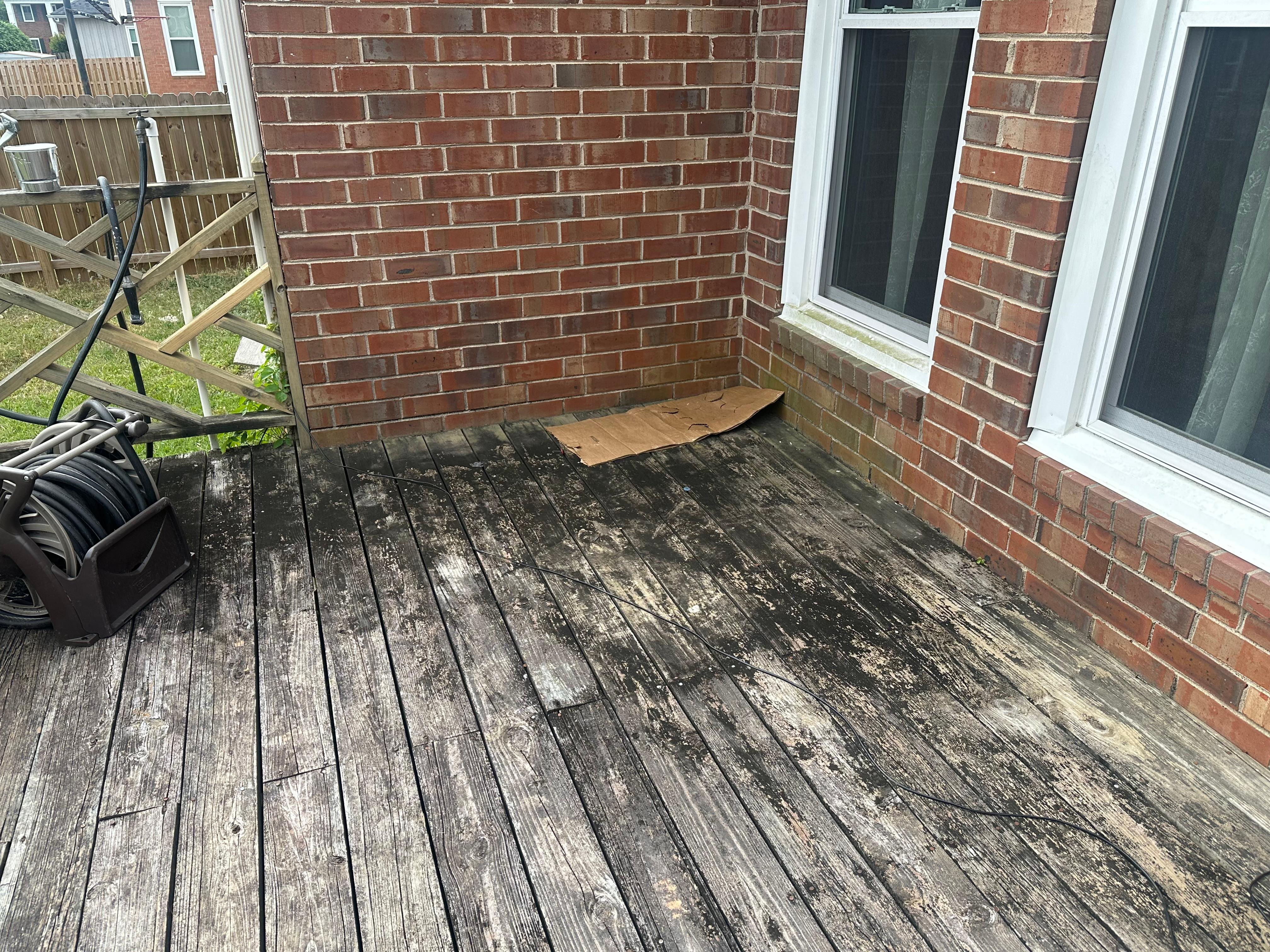 Garbage left on back porch