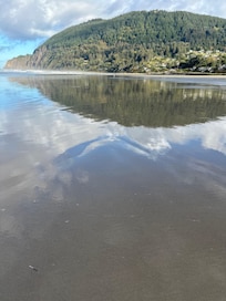 Manzanita beach low tide.