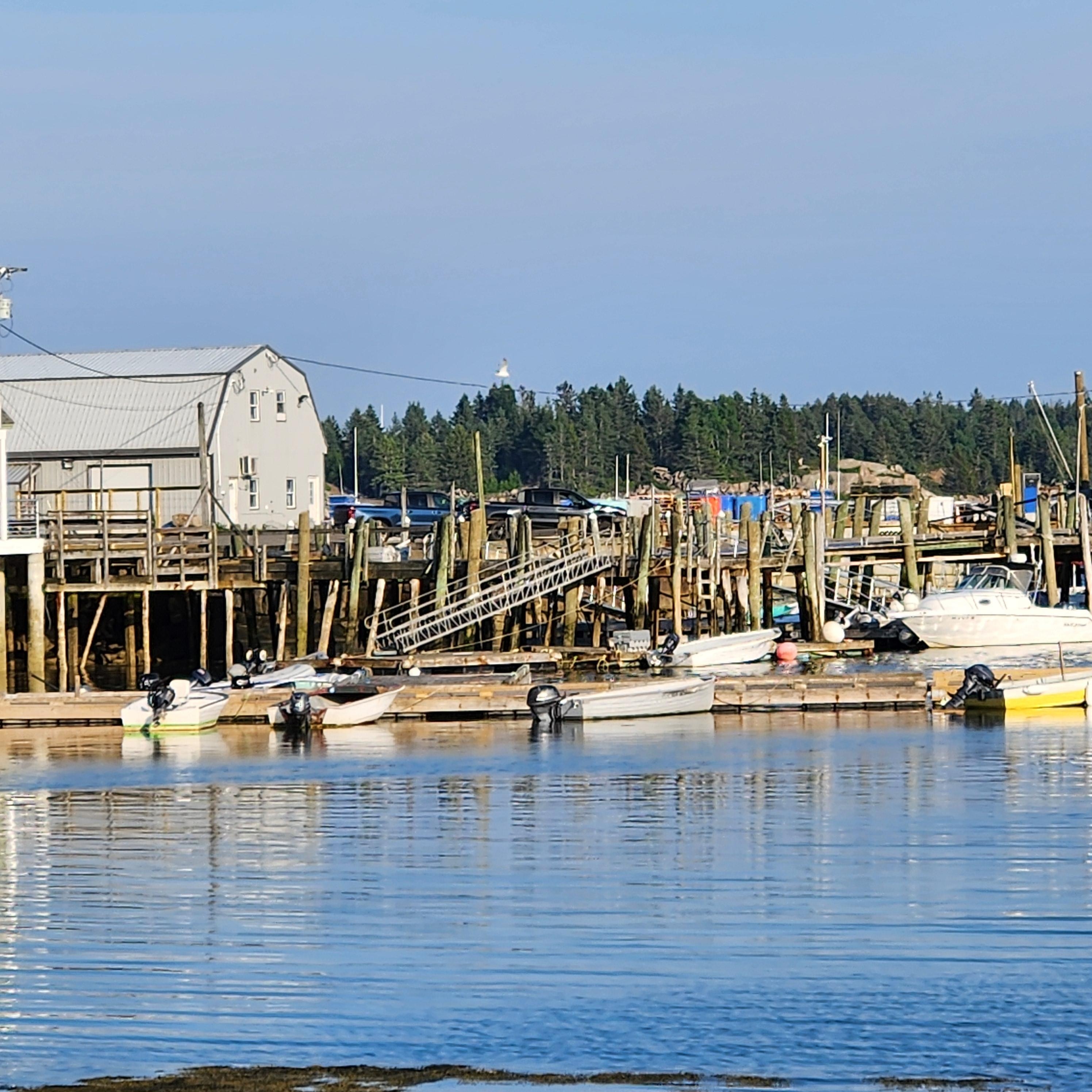 Stonington harbor