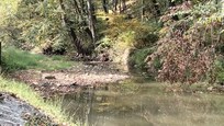 The creek