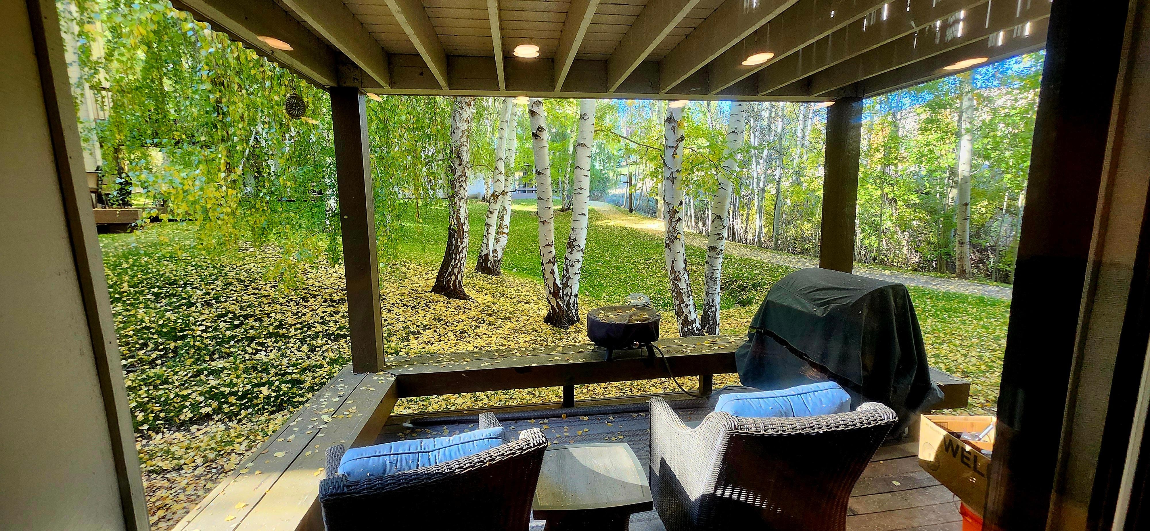 The view from the condo