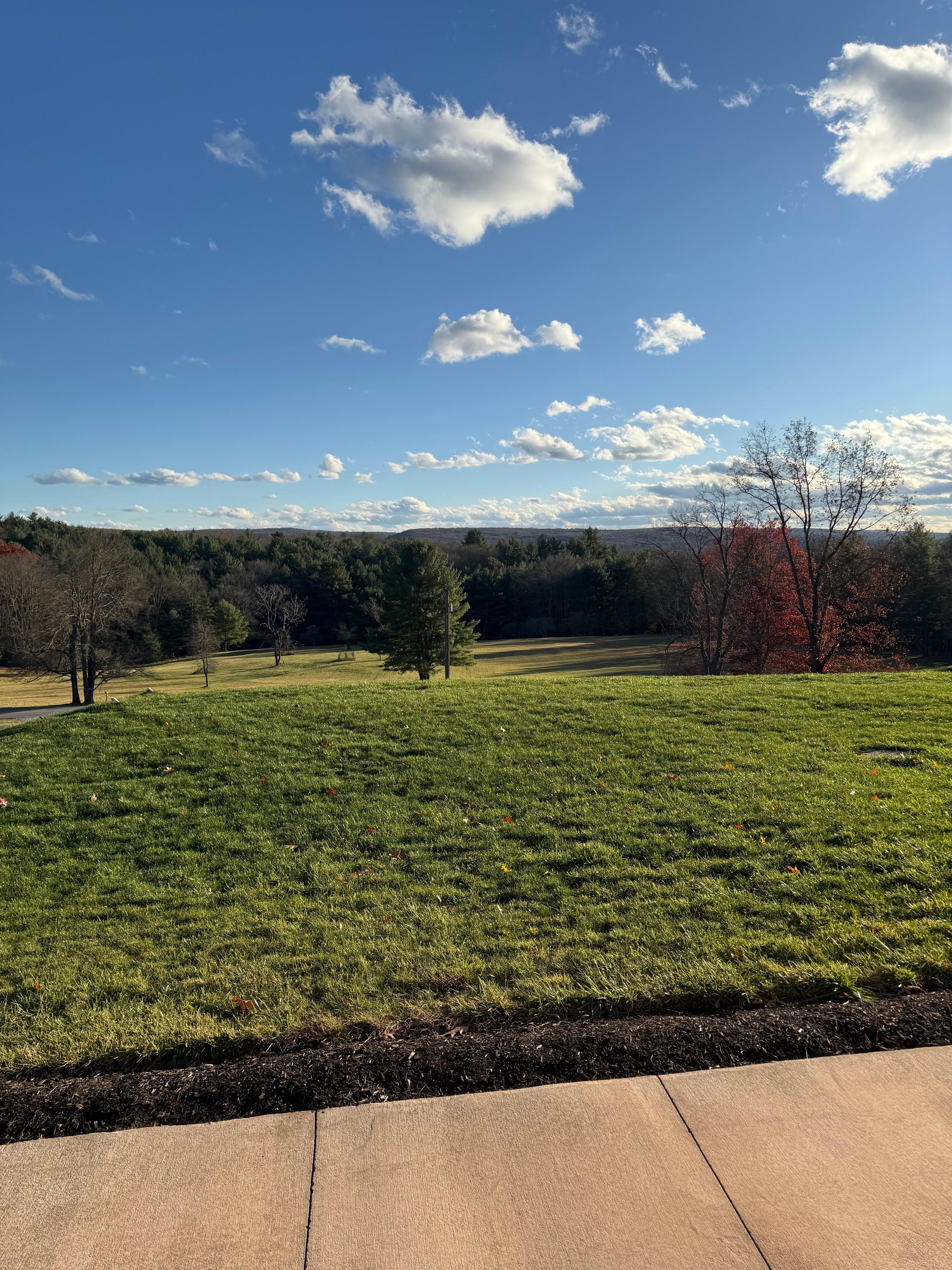 View from front yard