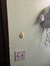 Hole in bathroom wall
