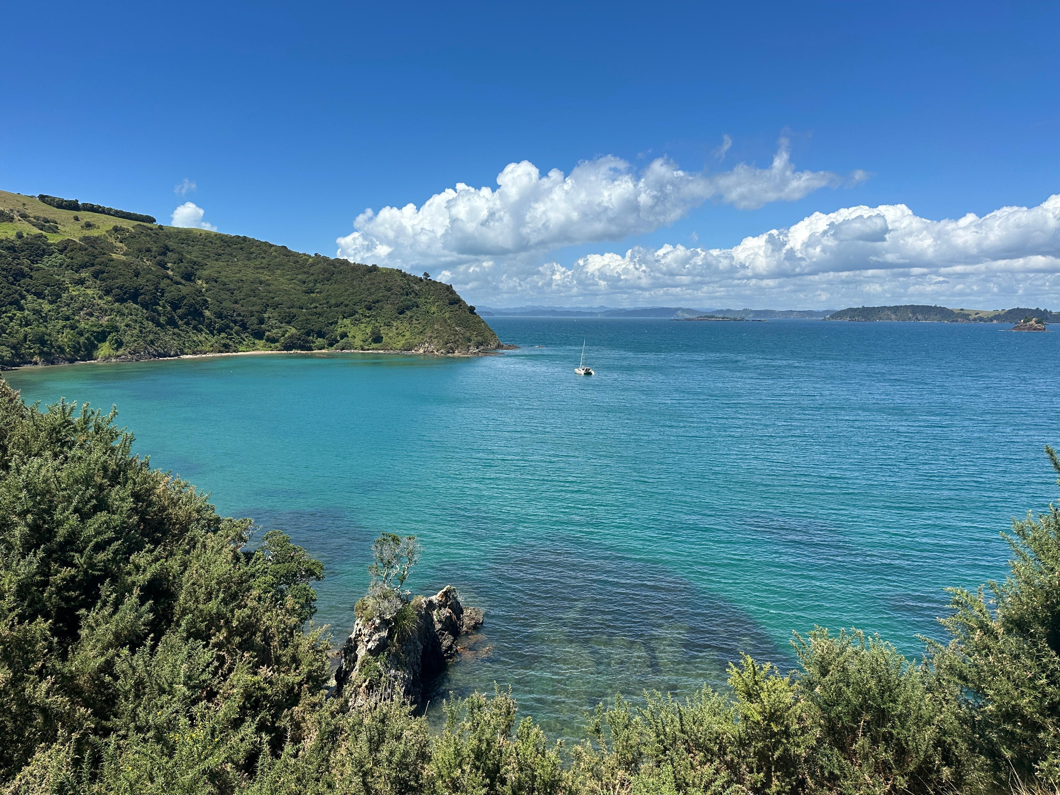 Stunning bush walks and ocean.