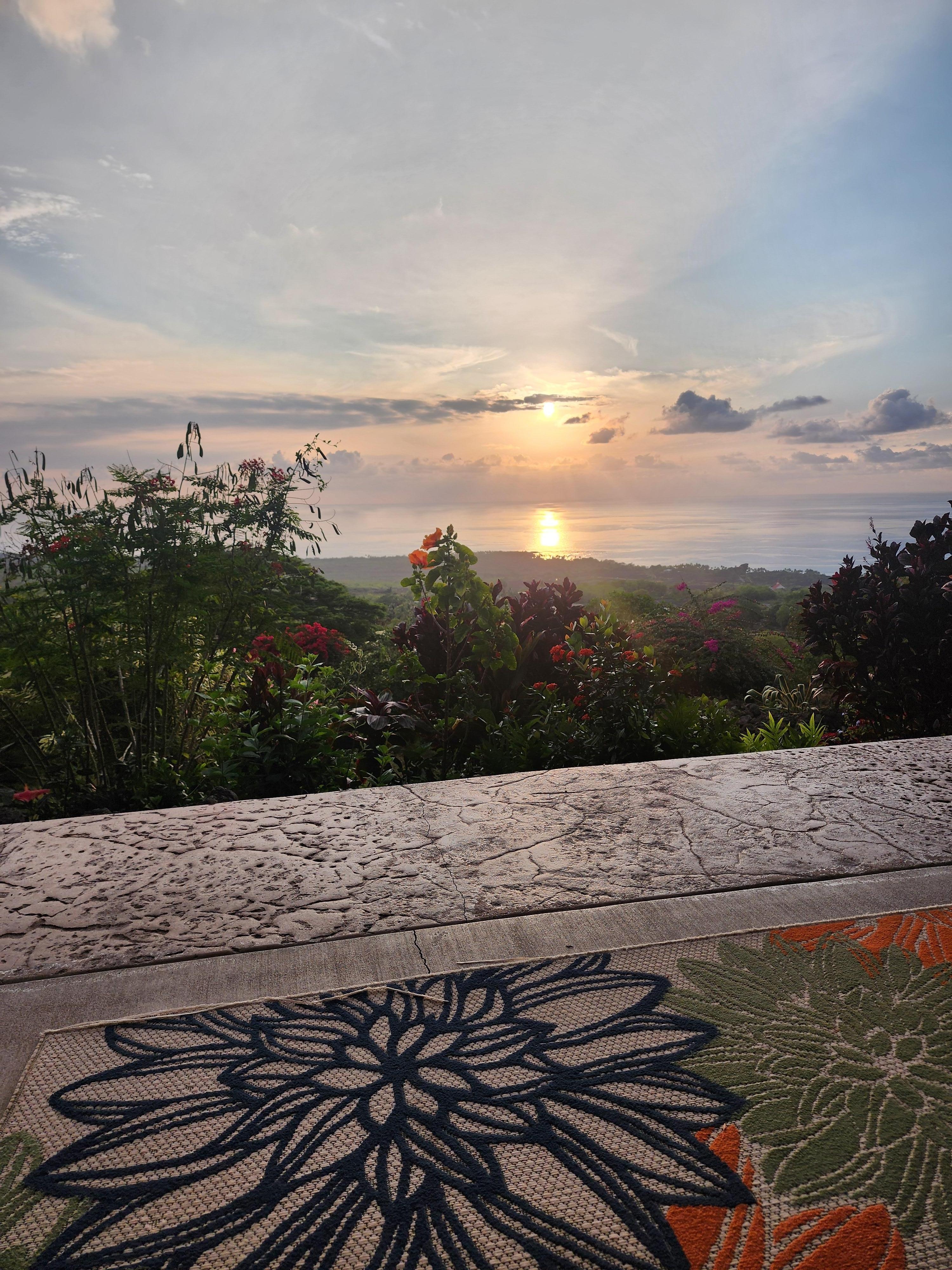 The view from the door!