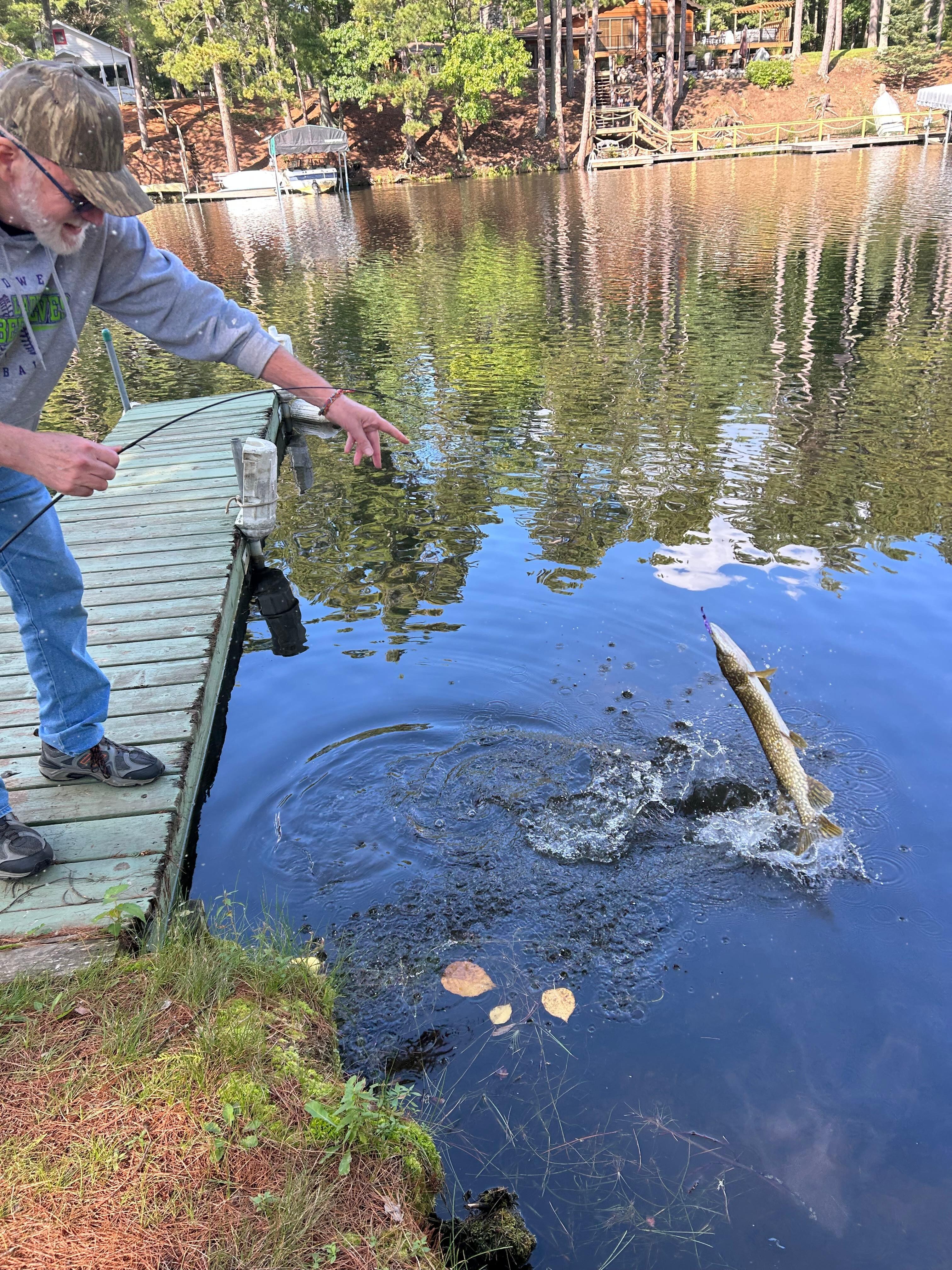 Caught a 24” Northern Pike right off the dock. First cast!
