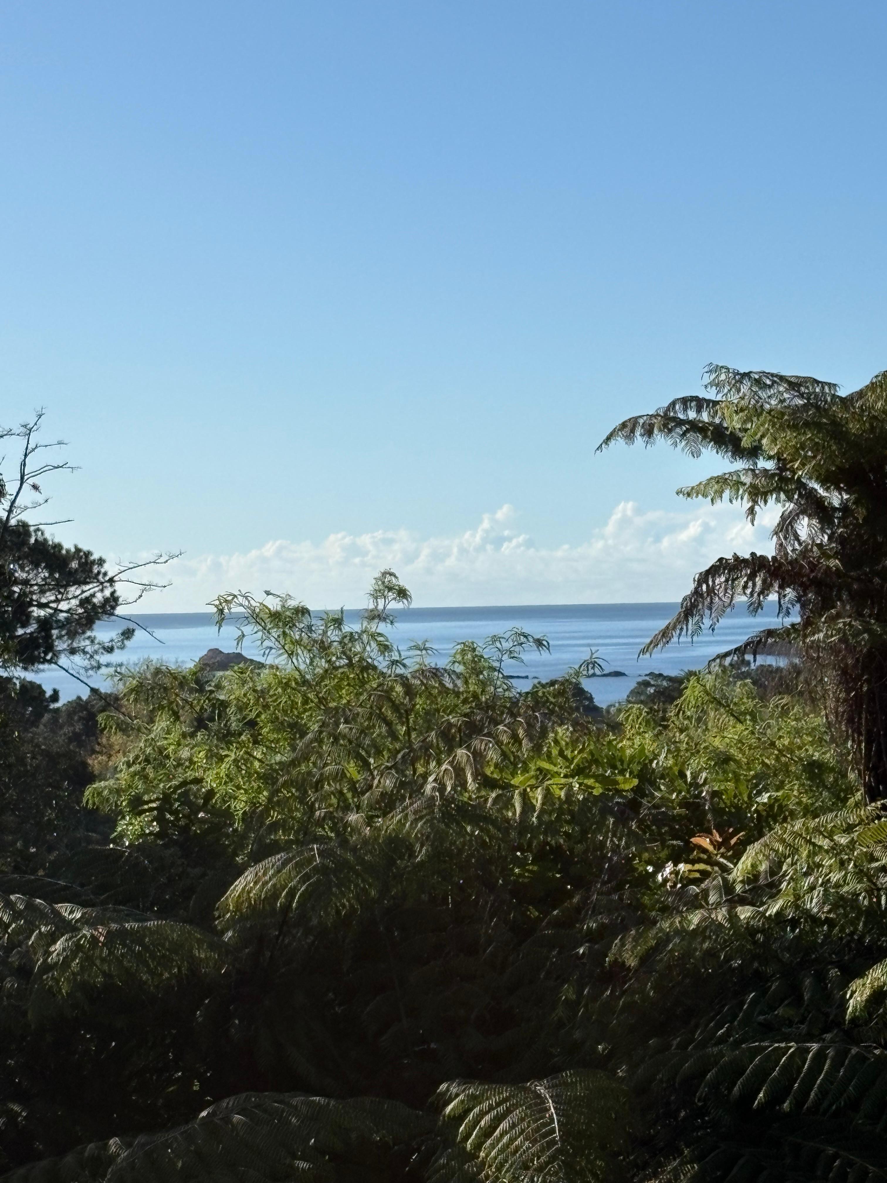 View from deck