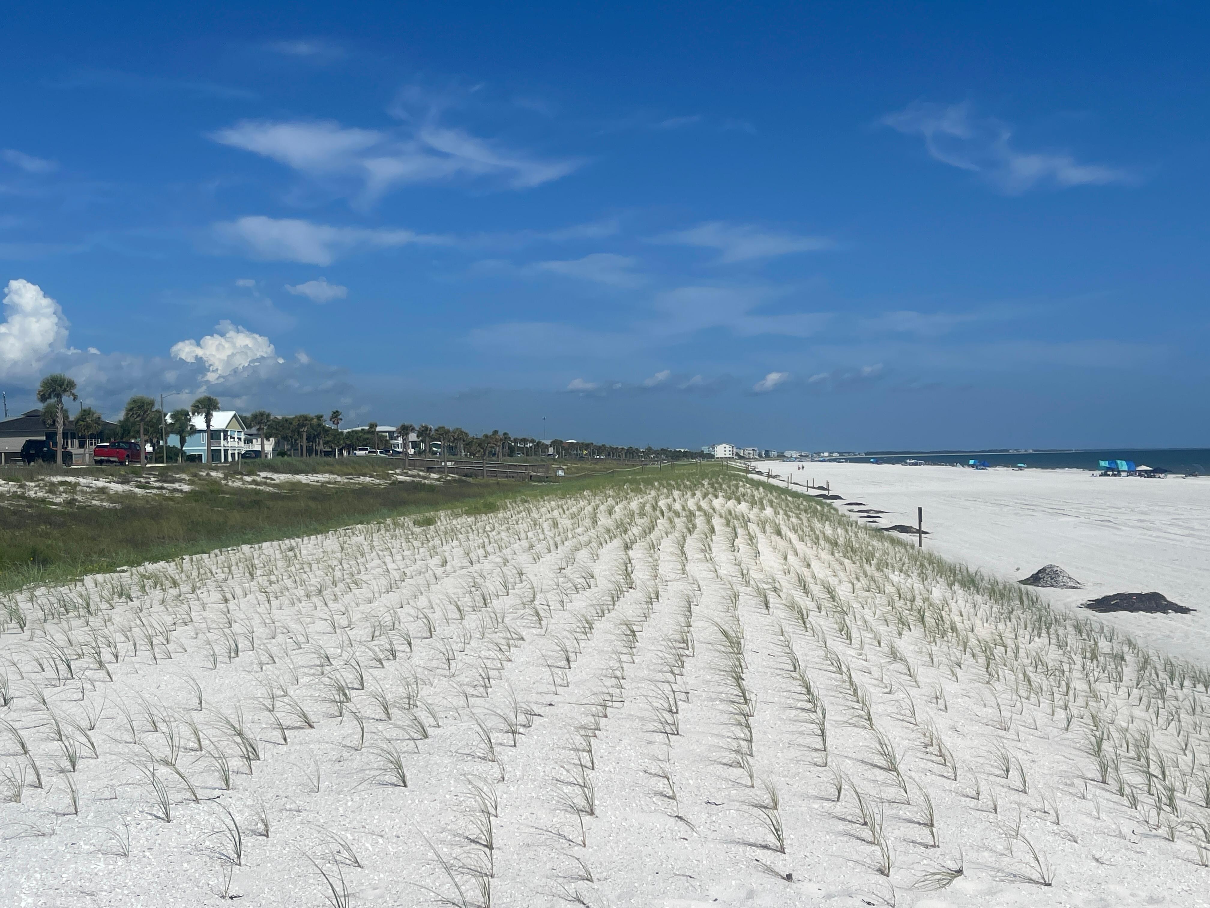 Looking toward St Joe Beach