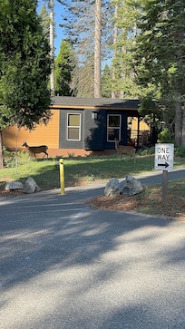 Friends walking around the Cabin early mornings