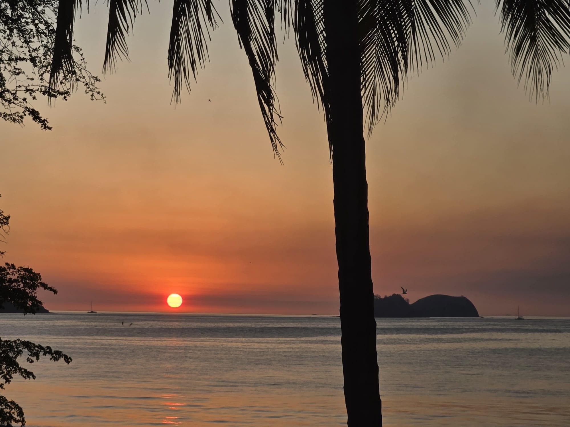 Every night
Dose not get old