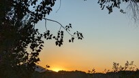 From the patio