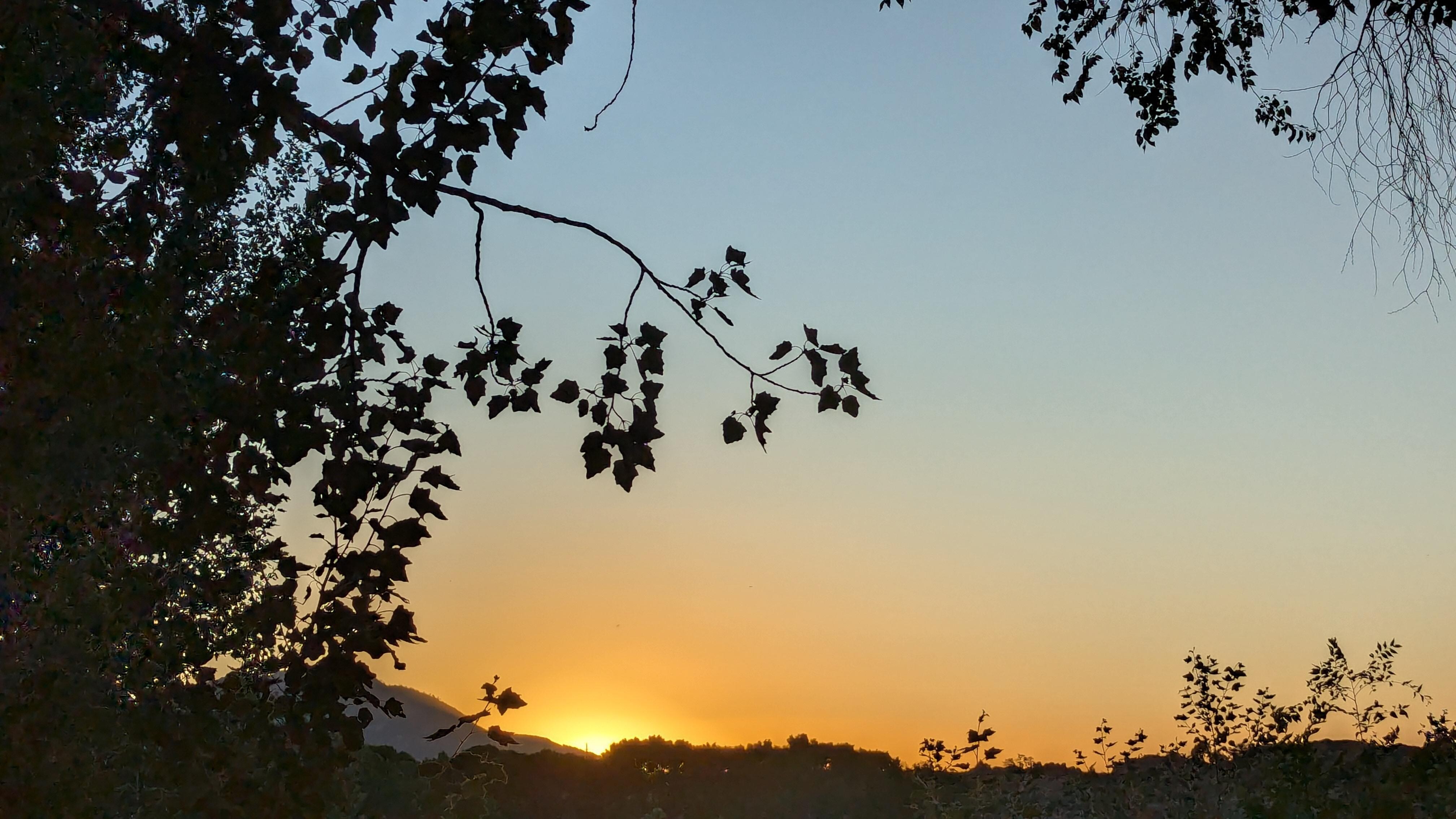 From the patio