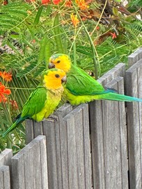 From outdoor balcony.