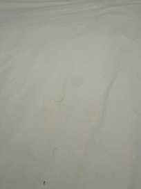 Hairs and bodily fluids