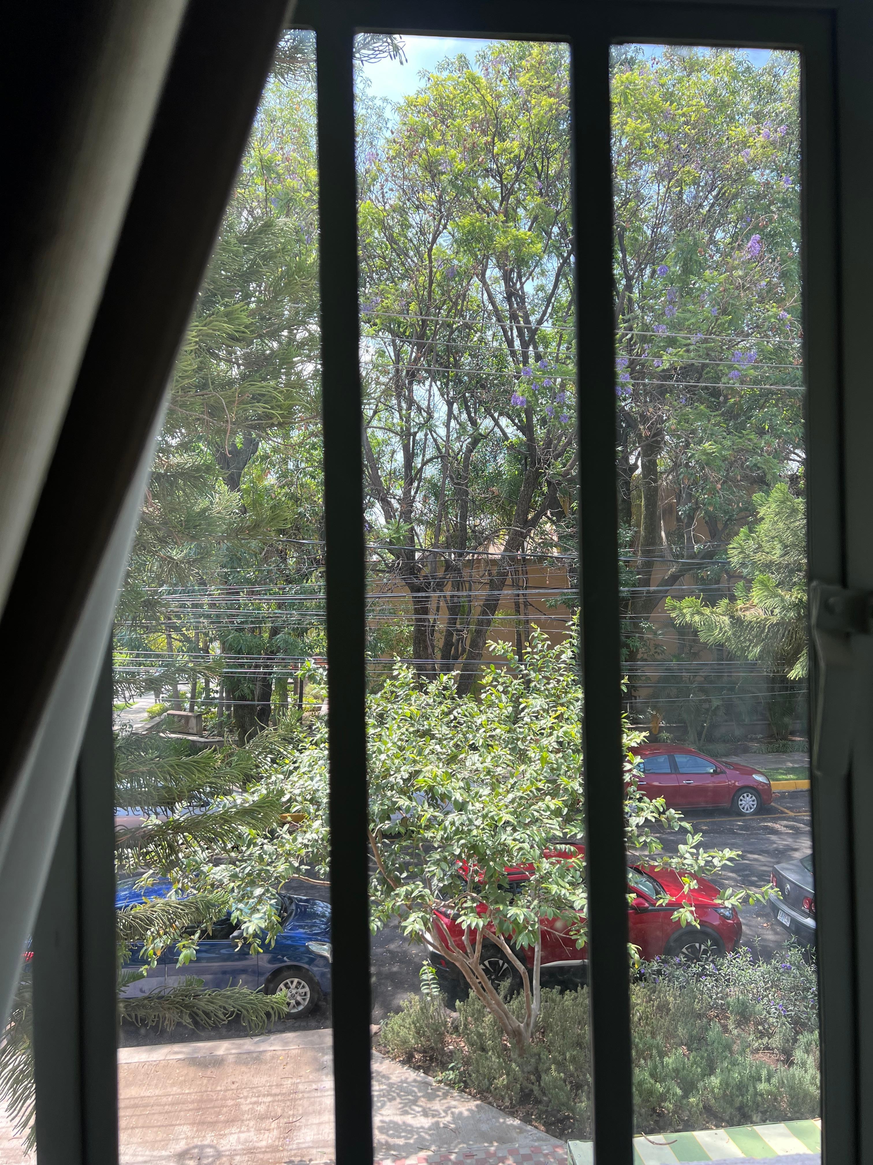 Vista desde el cuarto :)