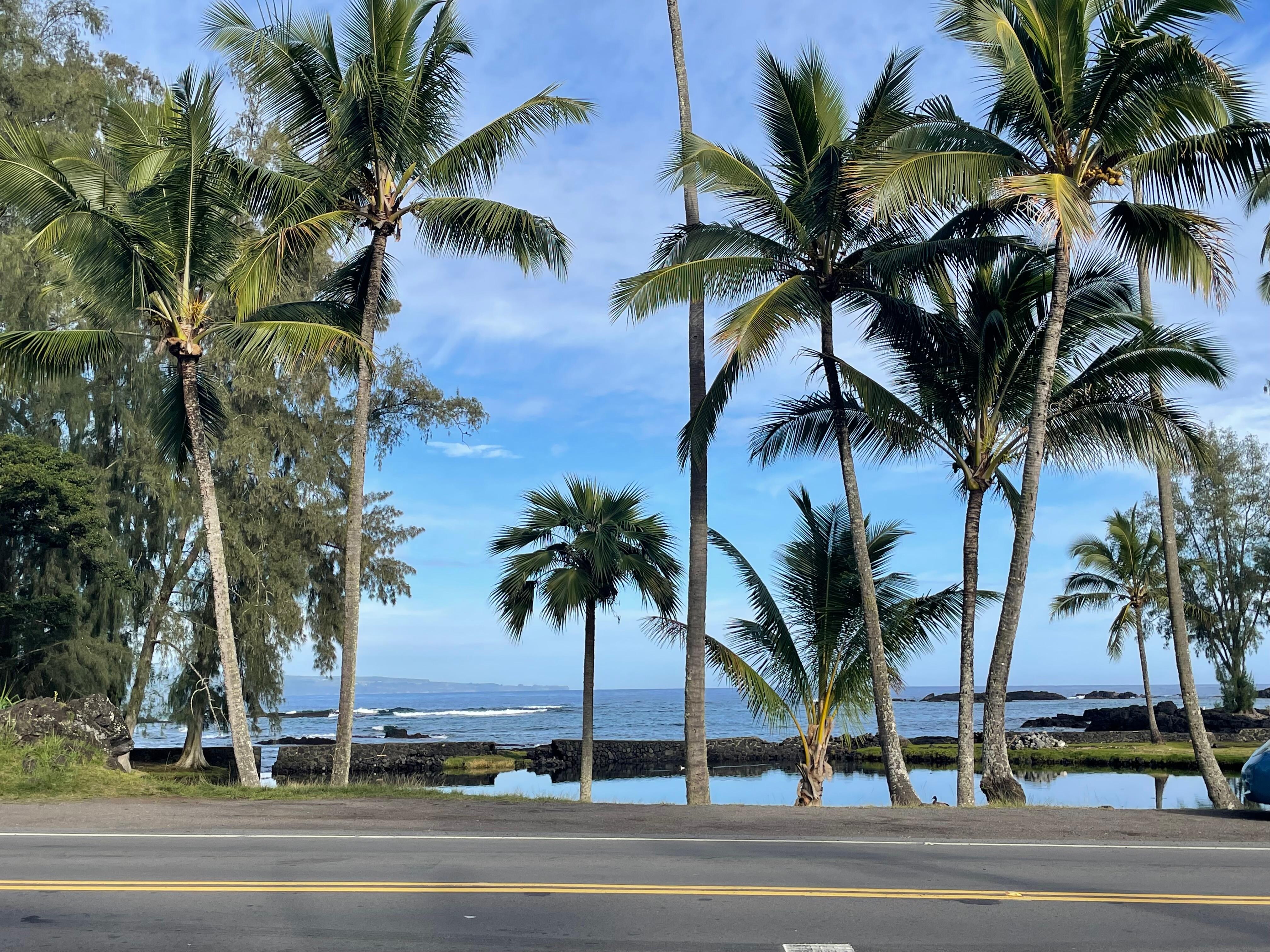 View from front yard