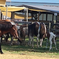 Fireman Fair Grounds