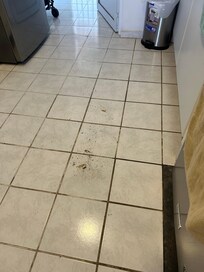 Crumbs, dirt, kitchen floor (1st night