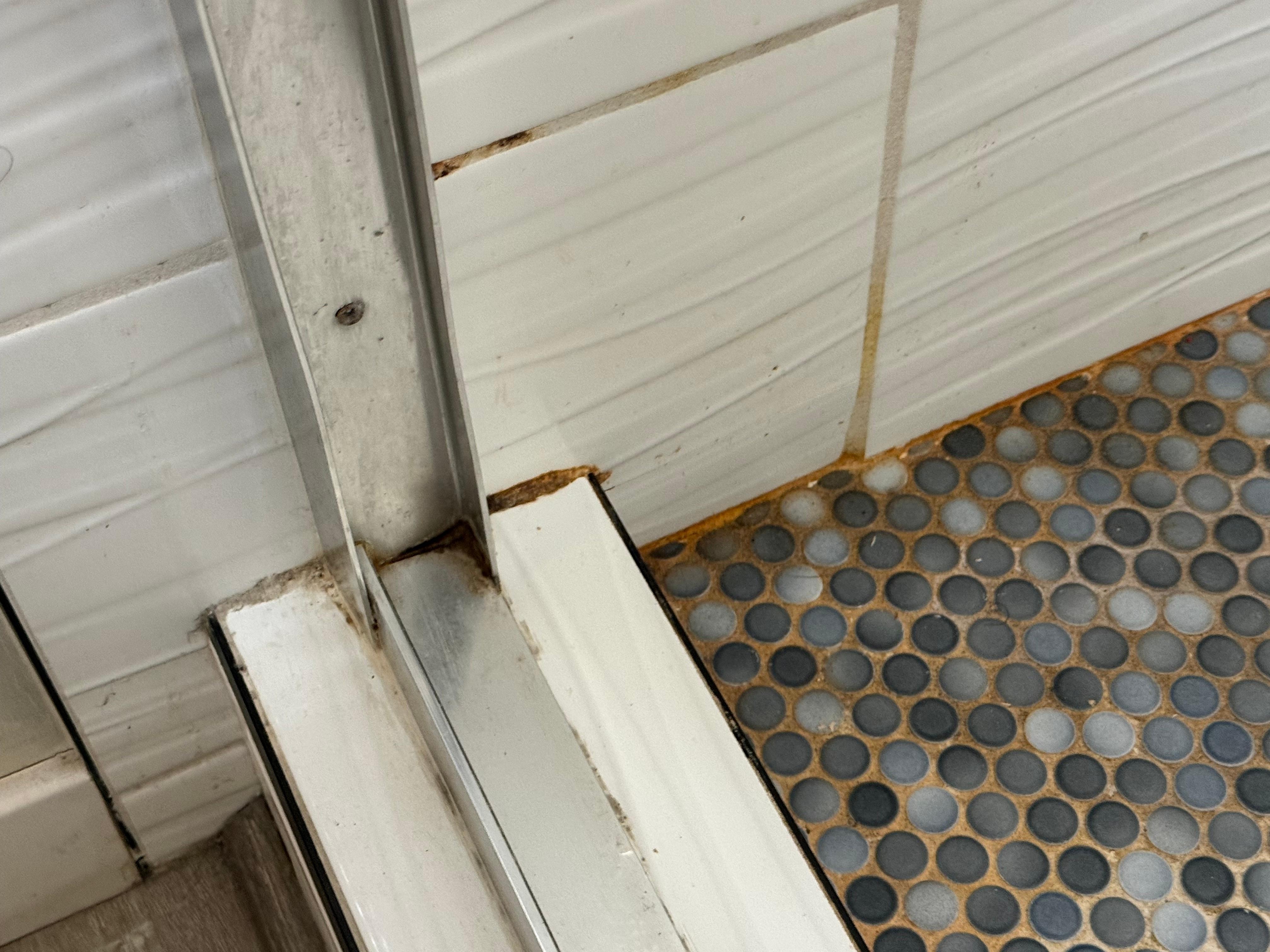 Mold in shower
