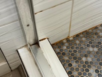 Mold in shower