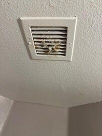 the vent in bath room