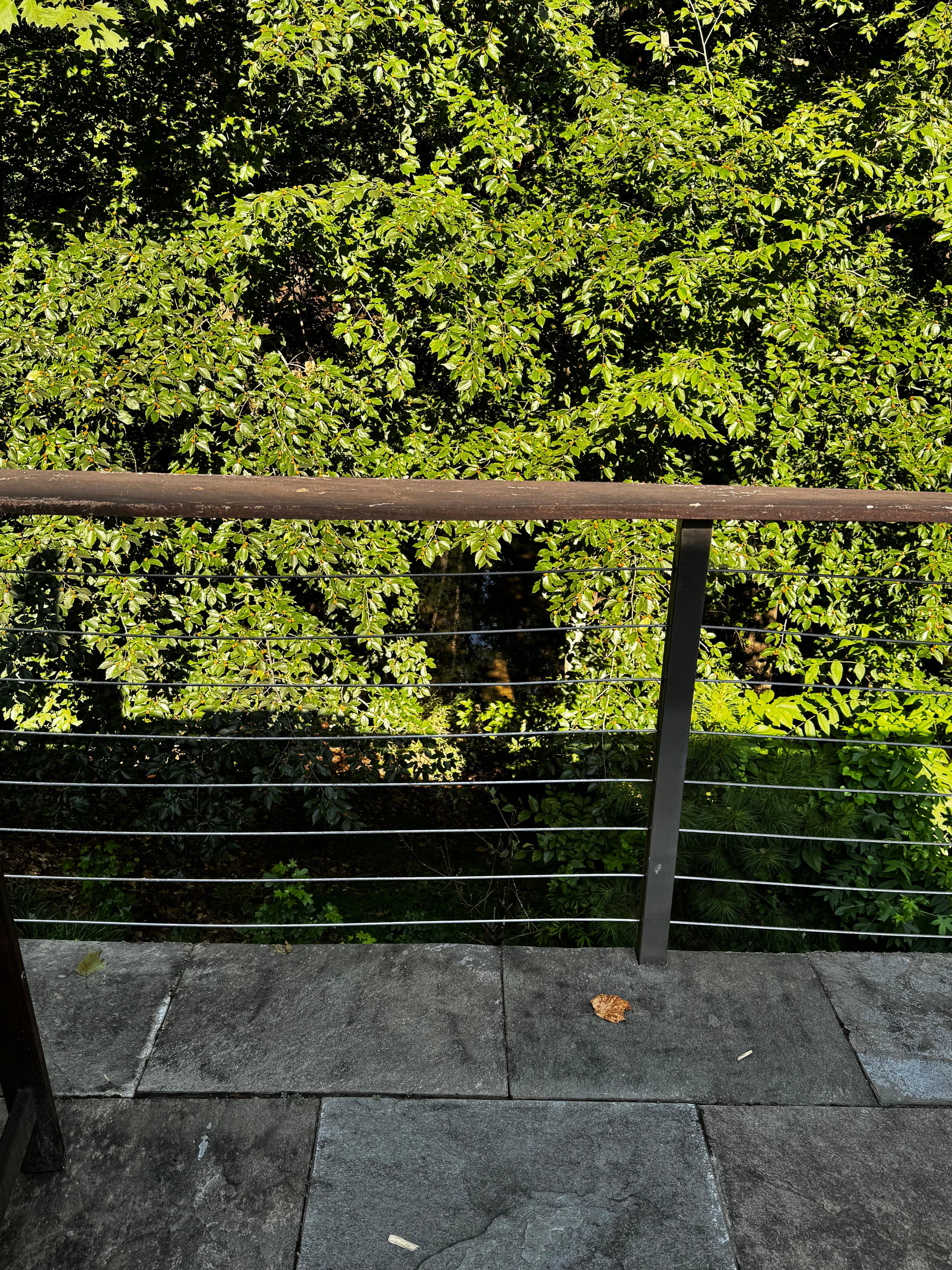 Lakeview from the deck. 