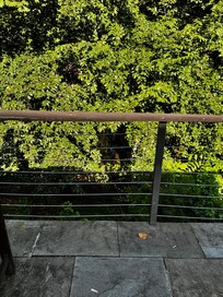 Lakeview from the deck.