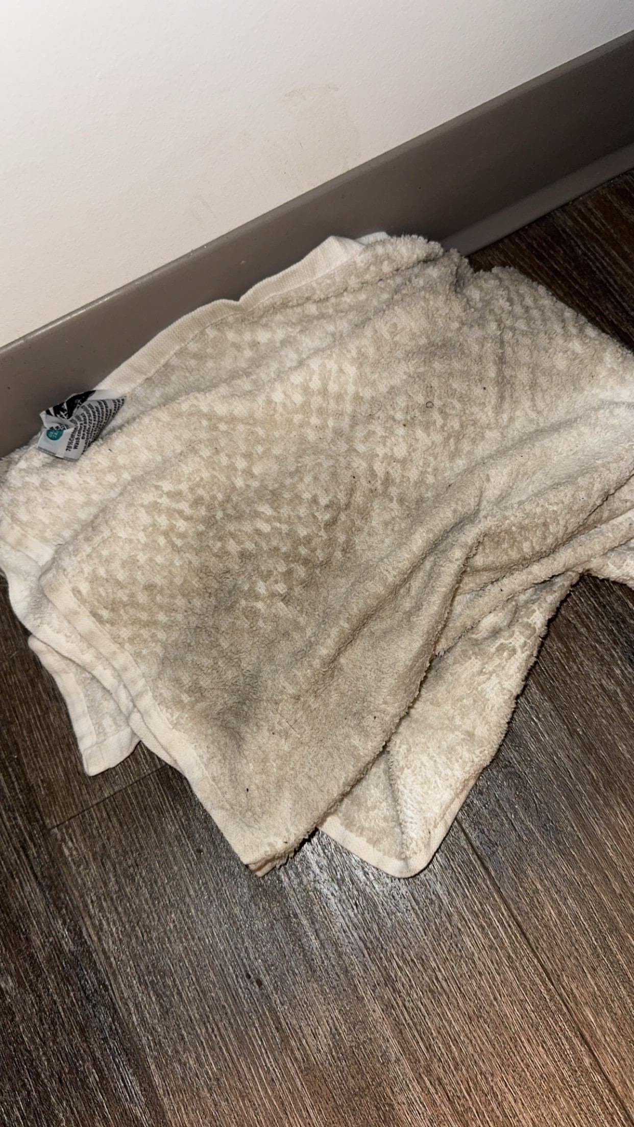 This is the towel we used to clean the floor , absolutely disgusting 