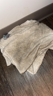 This is the towel we used to clean the floor , absolutely disgusting