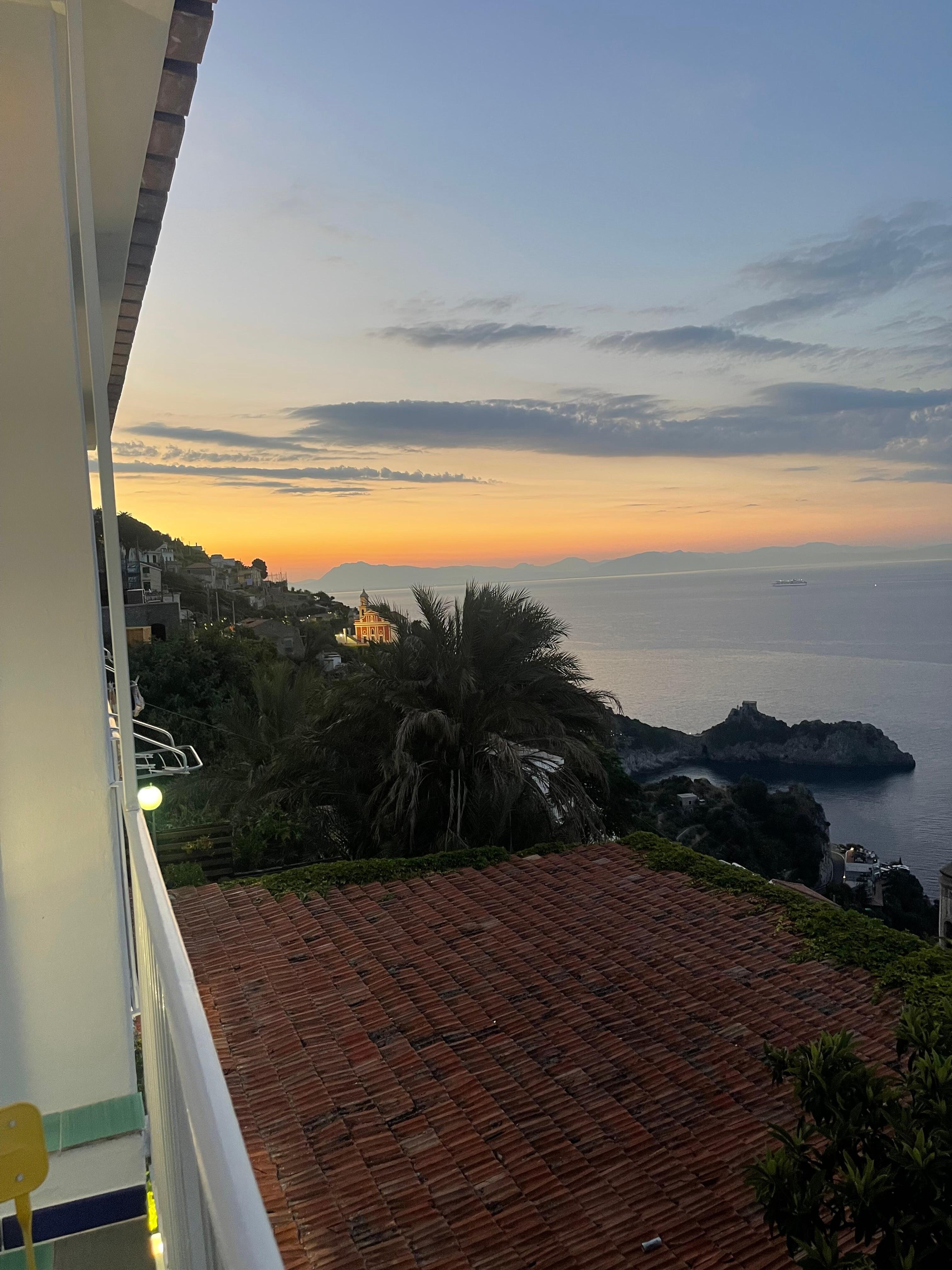 The view