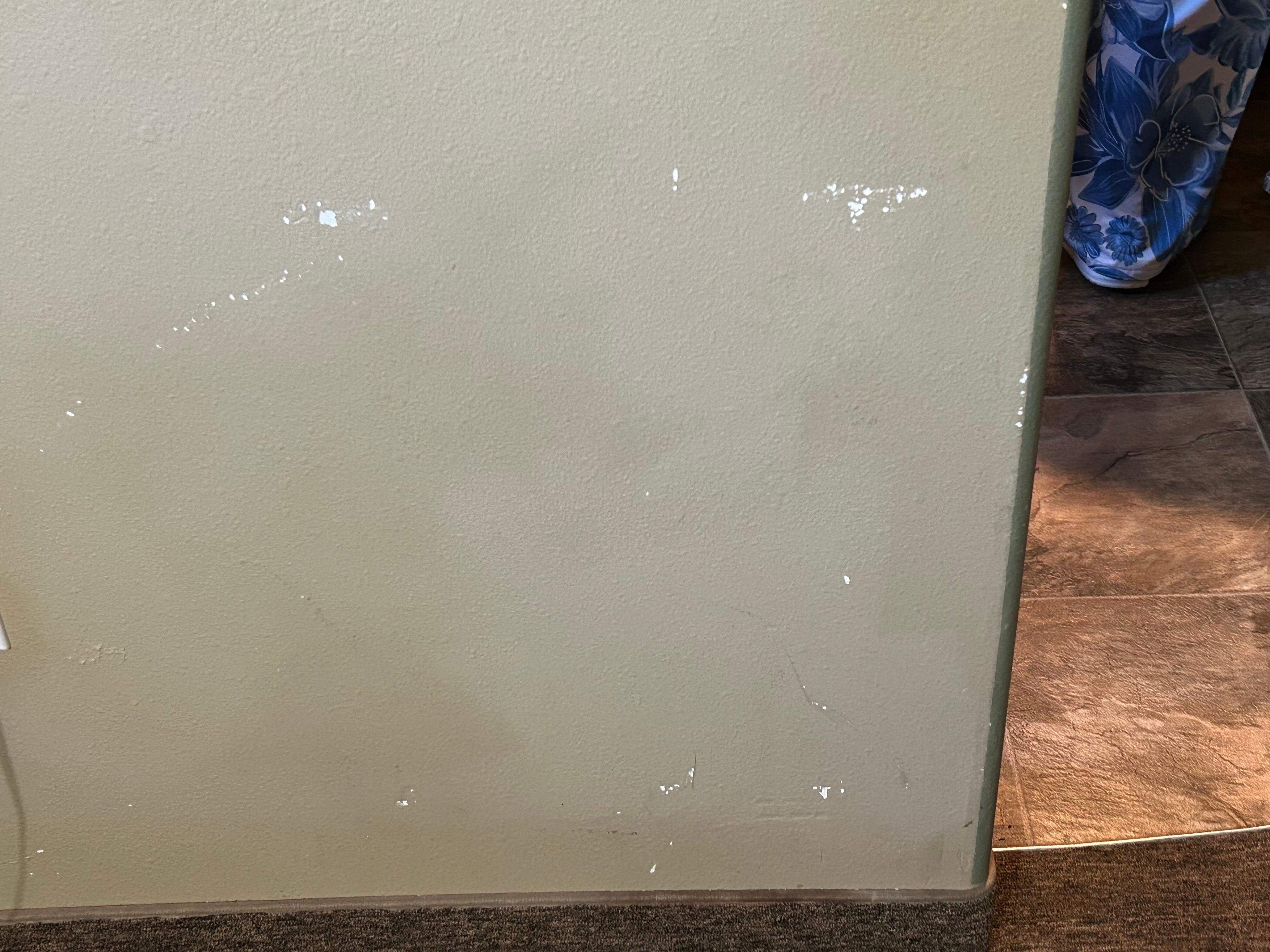 Scraped up walls