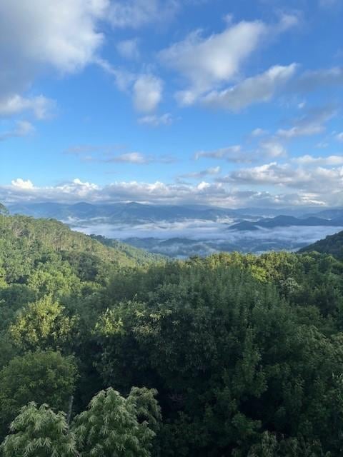 View from the back deck...