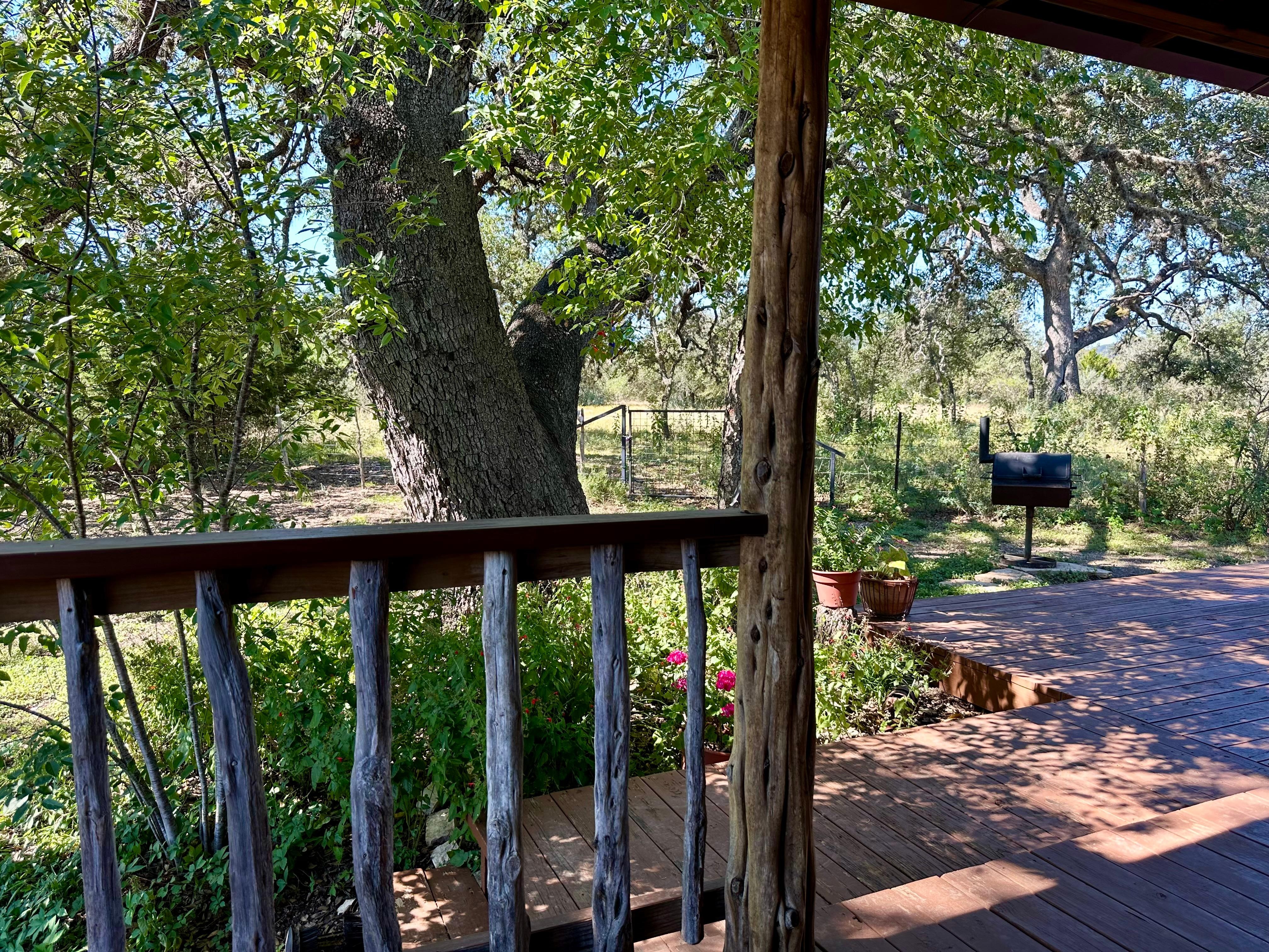  back porch view
