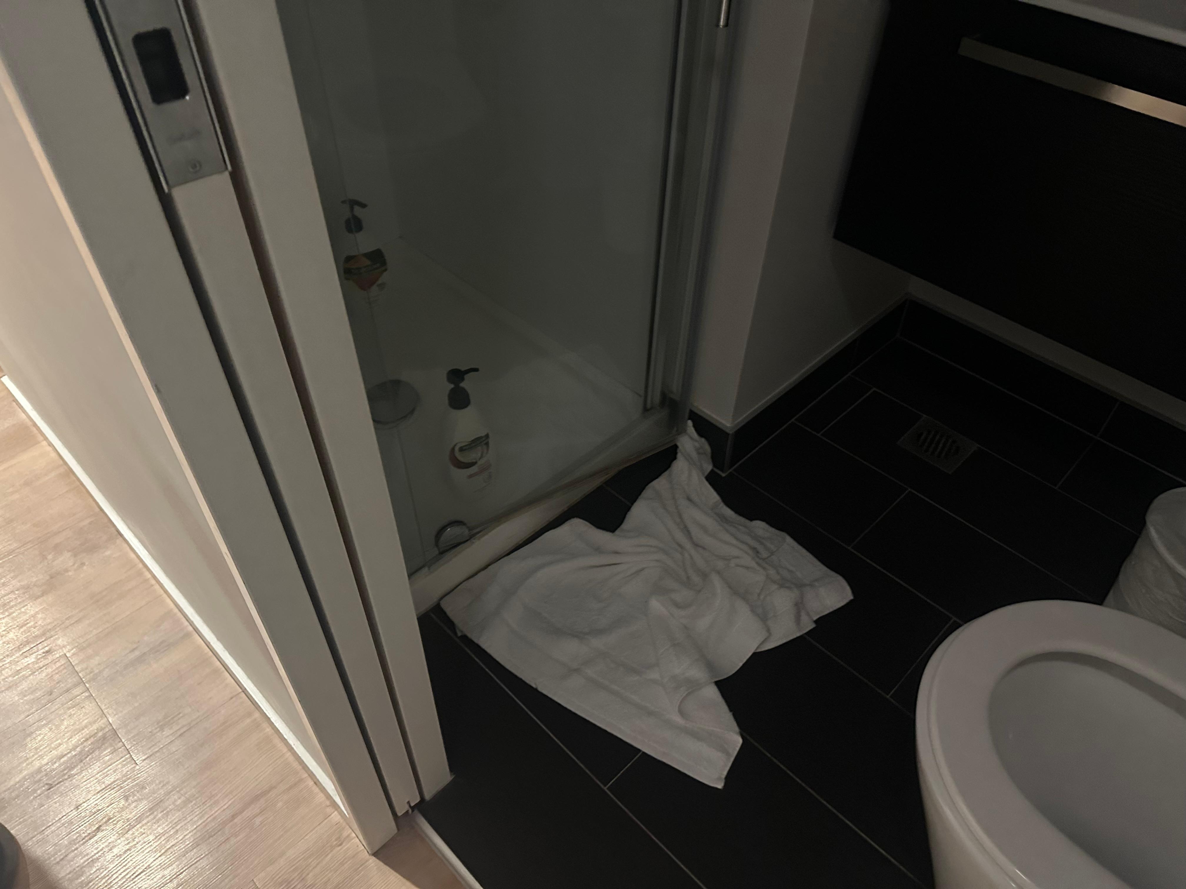 Used bathroom upon entry 