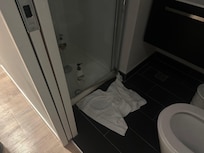 Used bathroom upon entry