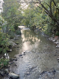 View of the river in front of the hotel