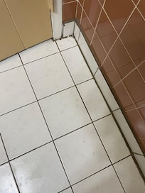 Bathroom floor was super sticky. I wish I had taken pics of the awful floor in the bedroom and the garbage under the beds.