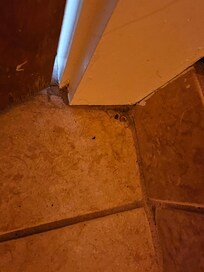 Corner behind bathroom door, featuring dead bug.