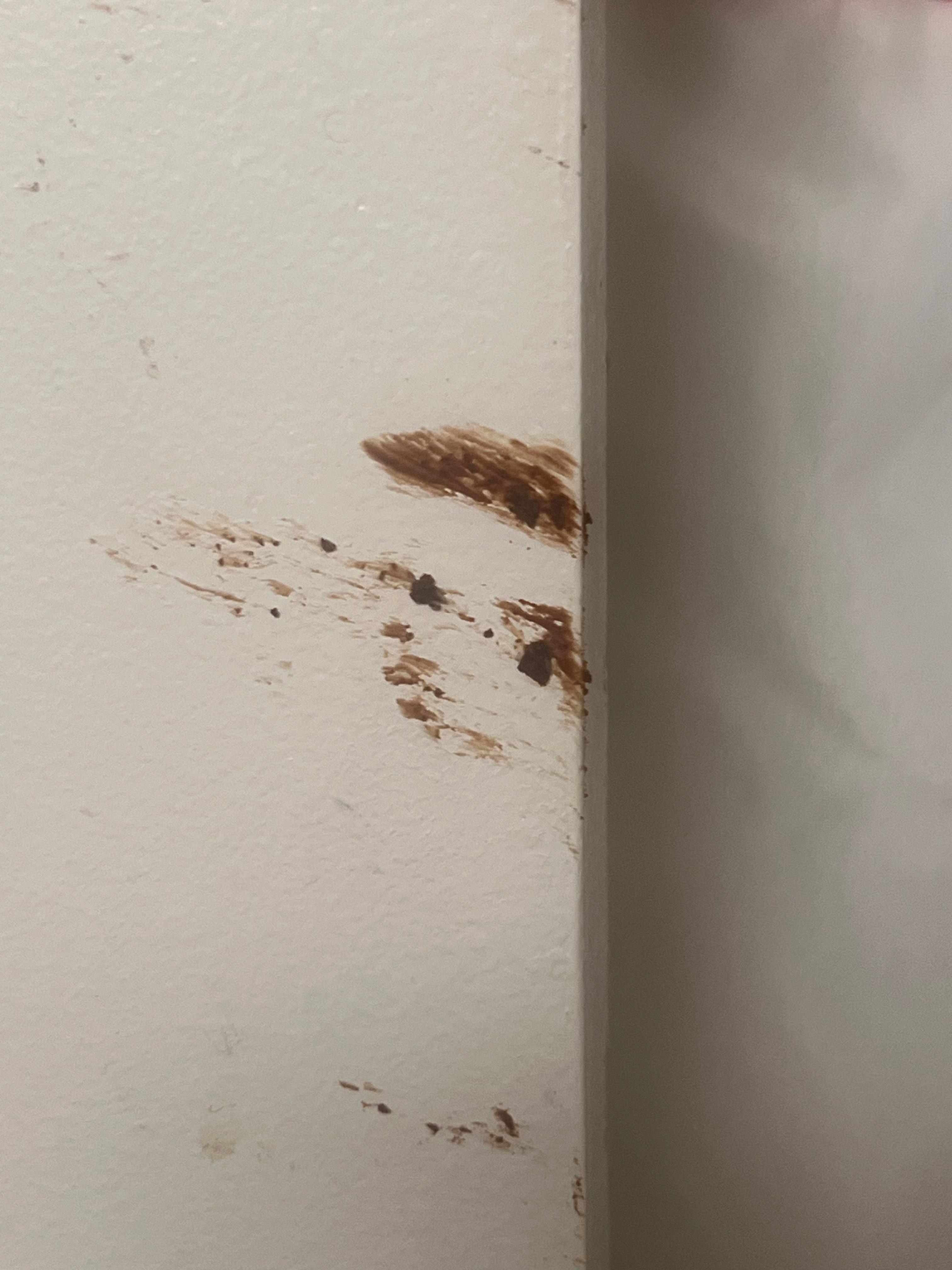 This was on our bathroom door