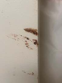 This was on our bathroom door