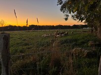 Unsere Nachbarn im Sonnenaufgang