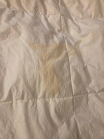Urine stained duvet