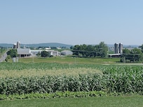 View looking north from lawn swing.