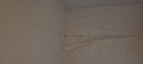 Burn marks on the carpet