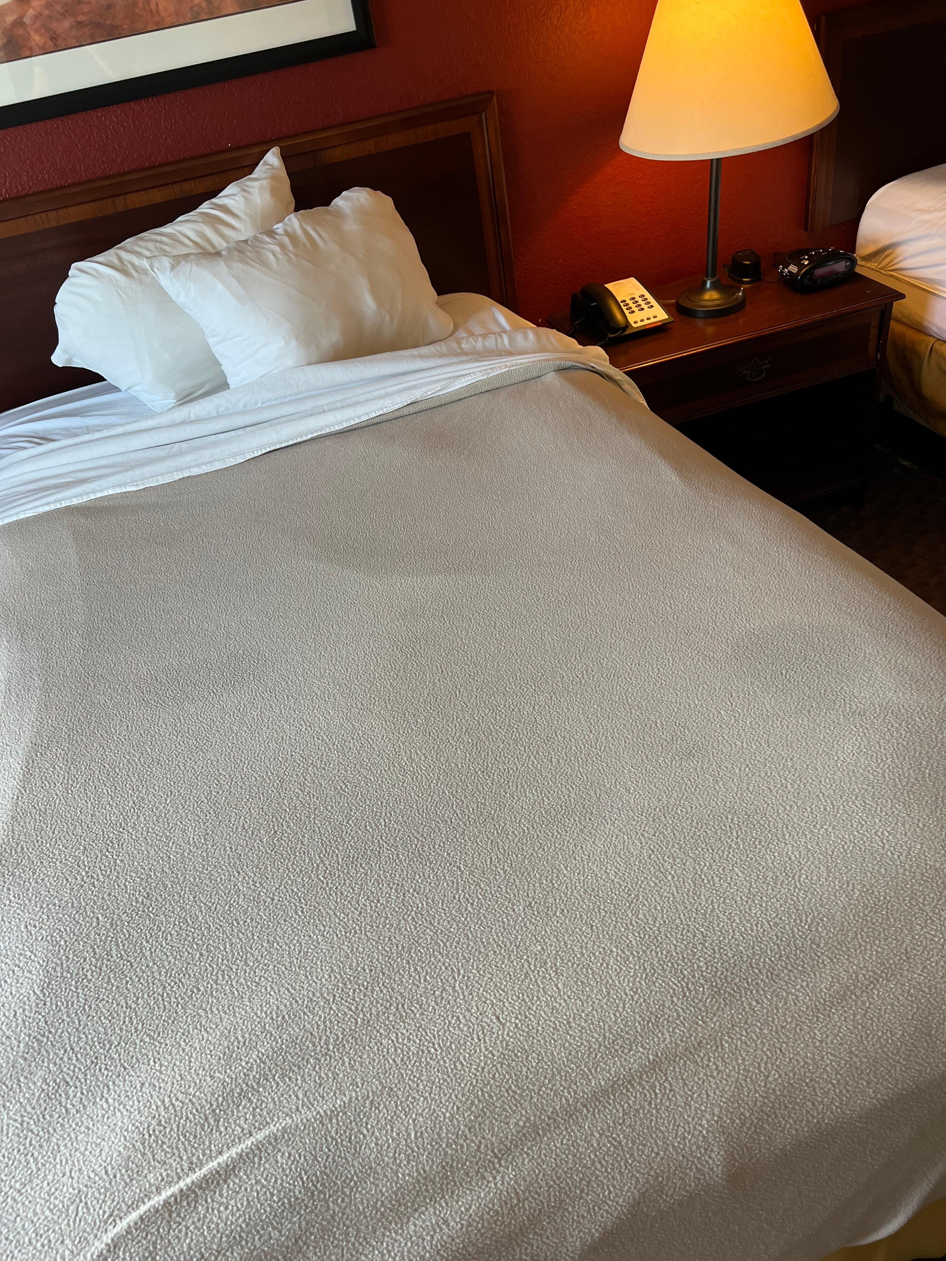 Stained blanket on bed