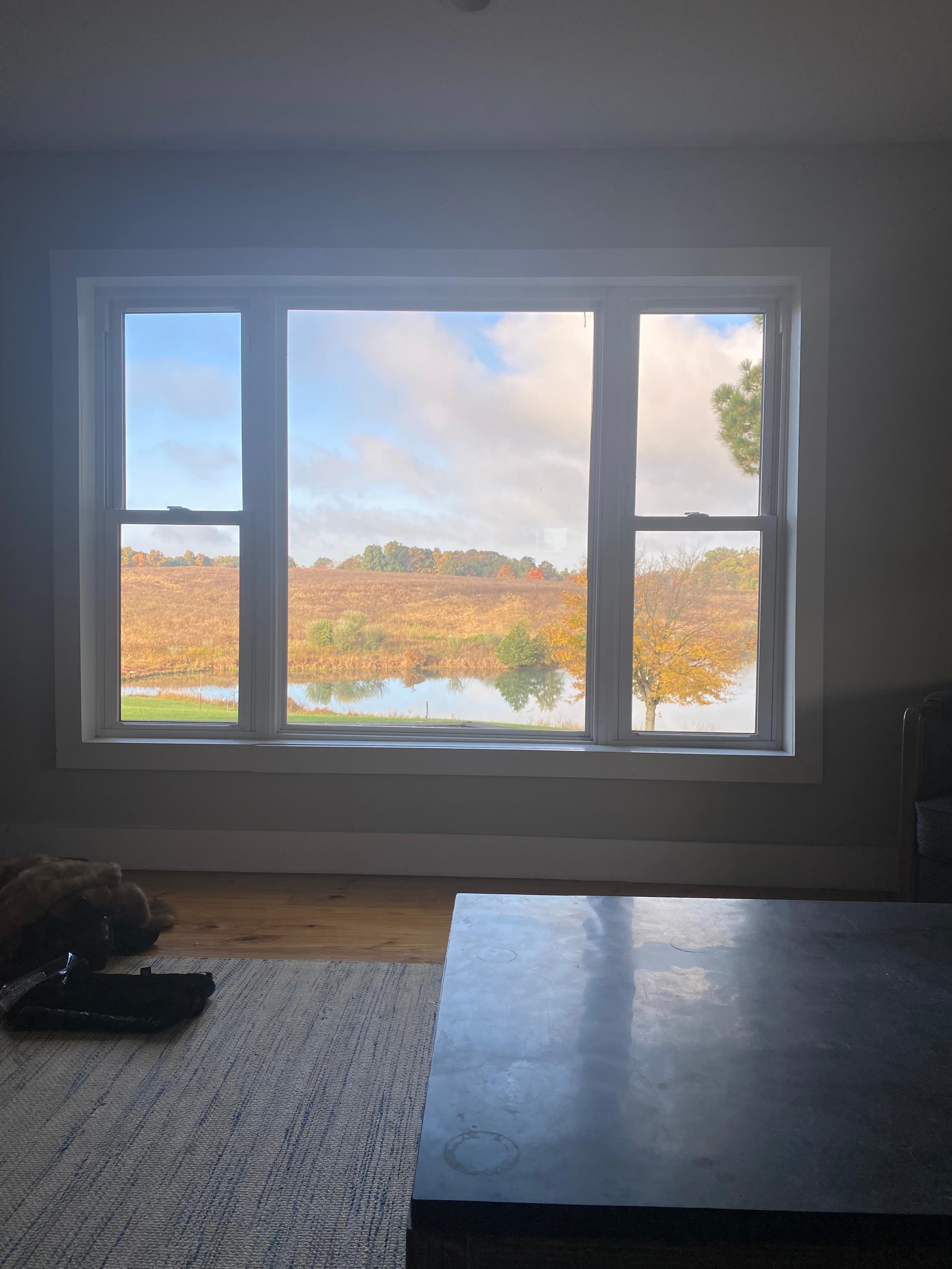 View from living room window 