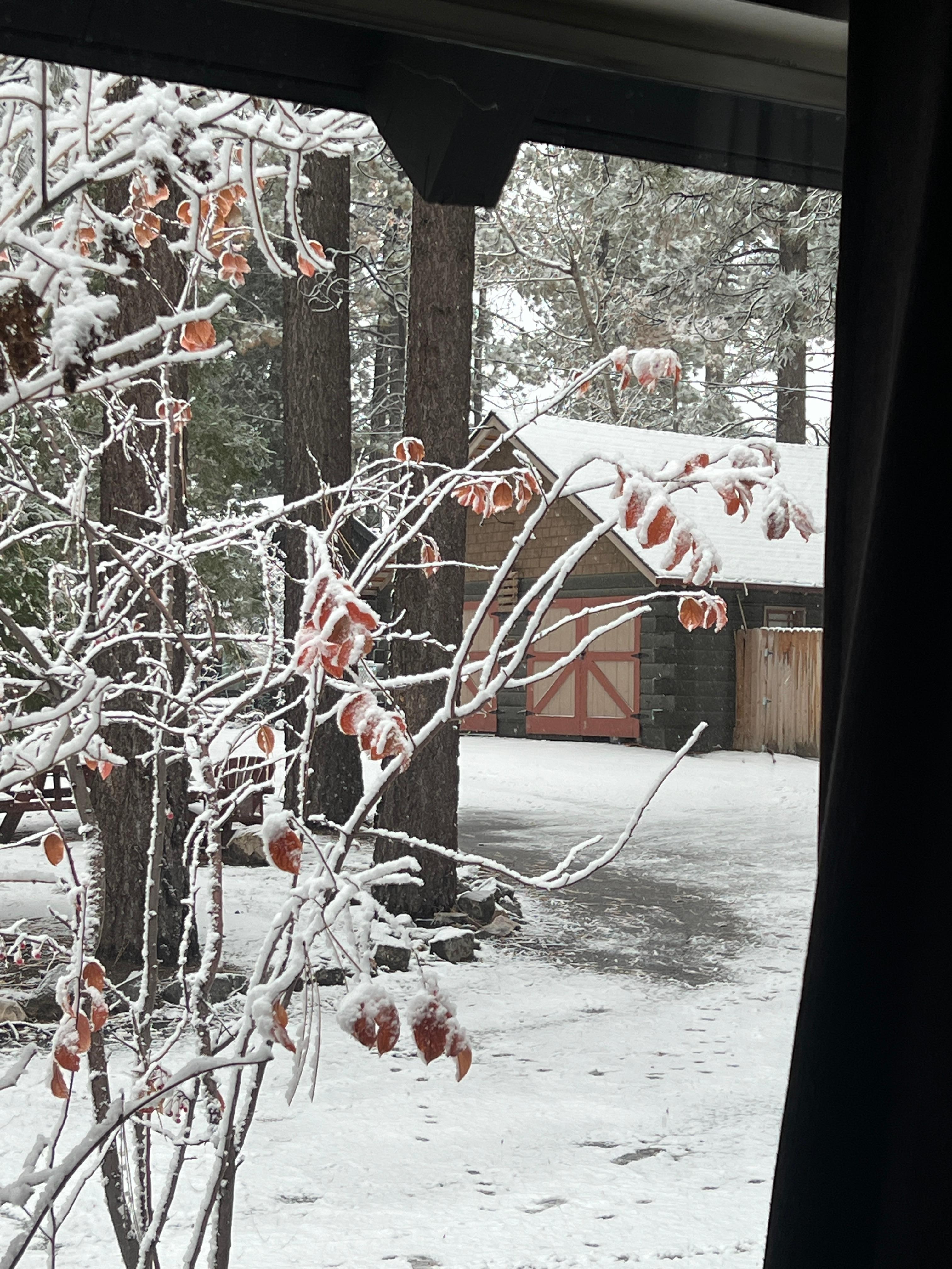 View from dining room window.